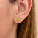 Frosted Round CZ  flat back earrings
